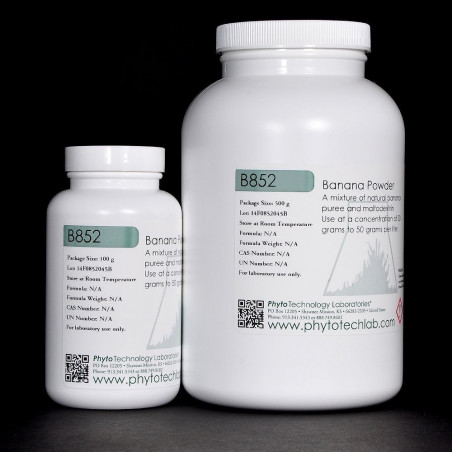 Poudre de banane B852 - 30g