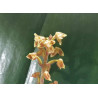 macodes petola - orchidée bijoux