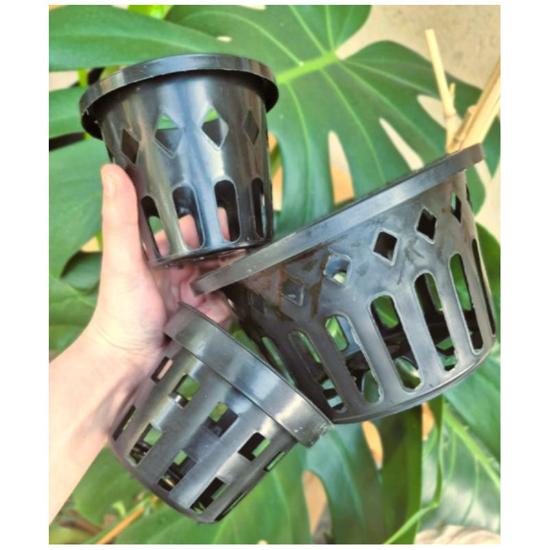 Black Plastic Orchid Basket Pot – Airy Support for Epiphytic Orchids, Ideal for Vanda, Cattleya, and Dendrobium