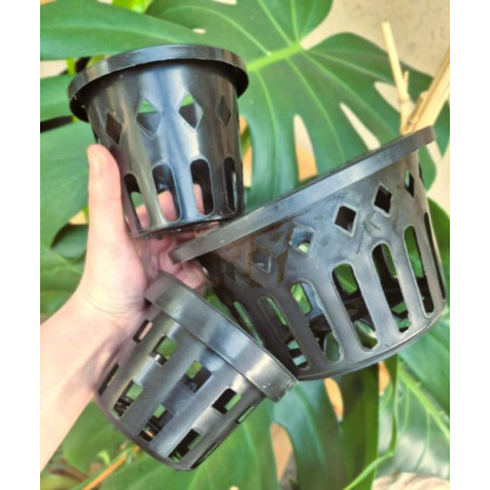 Black Plastic Orchid Basket Pot – Airy Support for Epiphytic Orchids, Ideal for Vanda, Cattleya, and Dendrobium