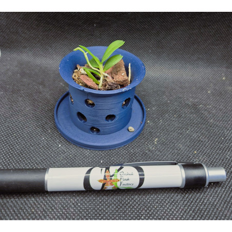 haraella retrocalla