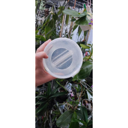 Micropropagation Box 870ml - final replate