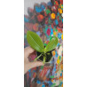 phalaenopsis speciosa x mannii black