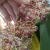 phalaenopsis gigantea