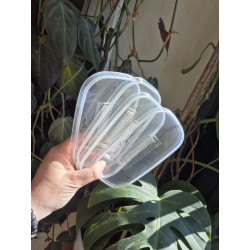 Second hand - Cover for Micropropagation Box 540ml