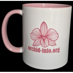 Mug Orchid Info