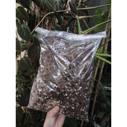 Mélange substrat de rempotage orchidée phalaenopsis, dendrobium, zygopetalum, cambria, odontoglossum