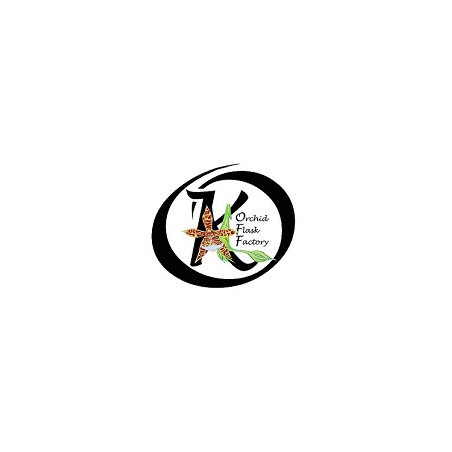 VENTE PRIVEE FACEBOOK 07