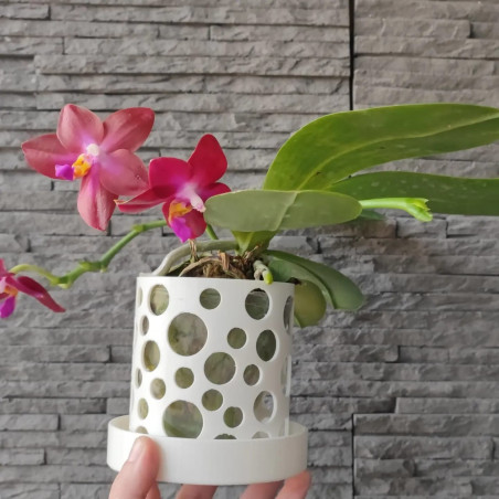 Pot by Corentin avec soucoupe intégrée
