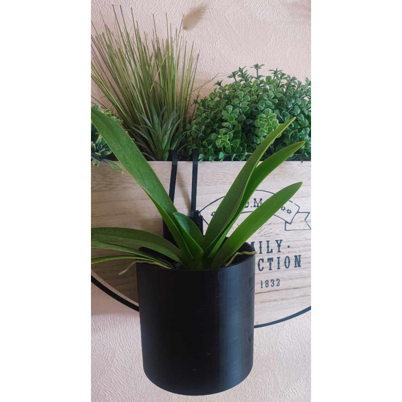 Pot Kay Orchid -  VertiEspace