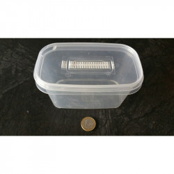 Boîte Micropropagation 540 ml - semis et repiquage