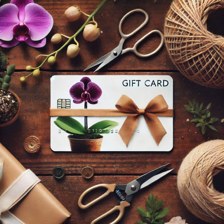 Carte cadeau