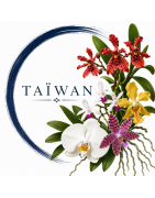 Imports Taiwan