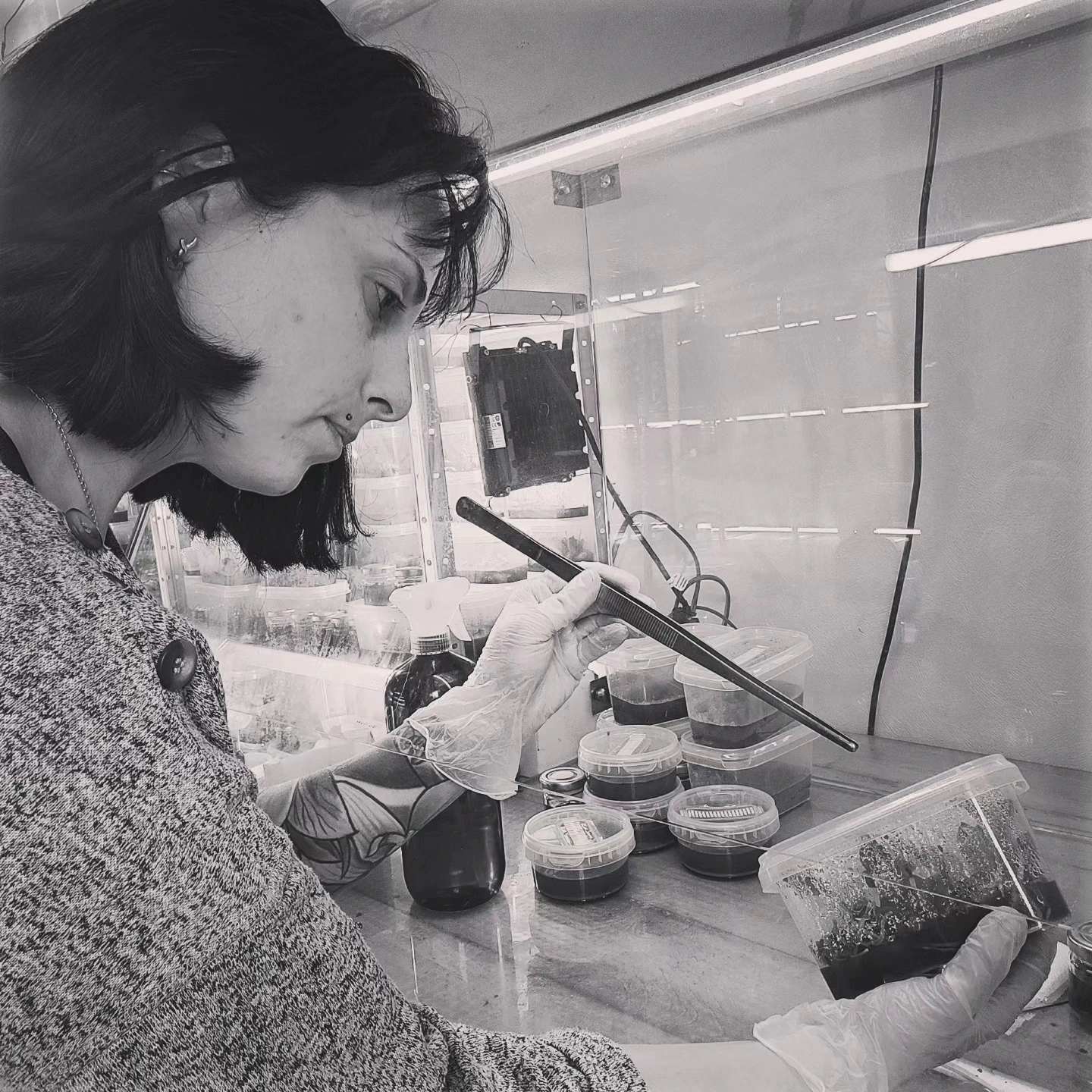 Camille dans son laboratoire