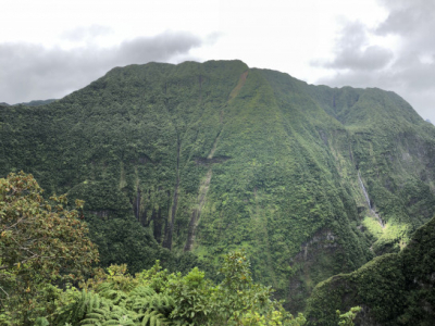 1 - La Réunion, hier et aujourd'hui, un projet de conservation des orchidées